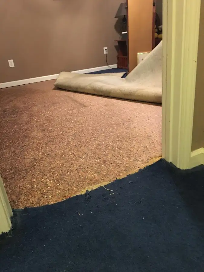 Carpet pad removal revealing water damage during Drying & Dehumidification in The Pinery