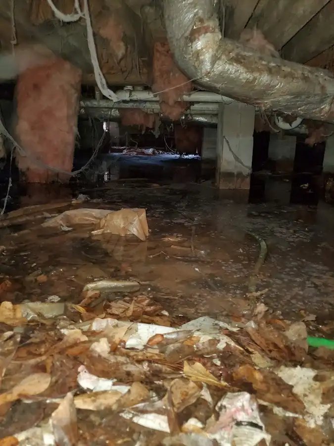 Crawl space flood assessment for Commercial Water Damage Restoration in The Pinery