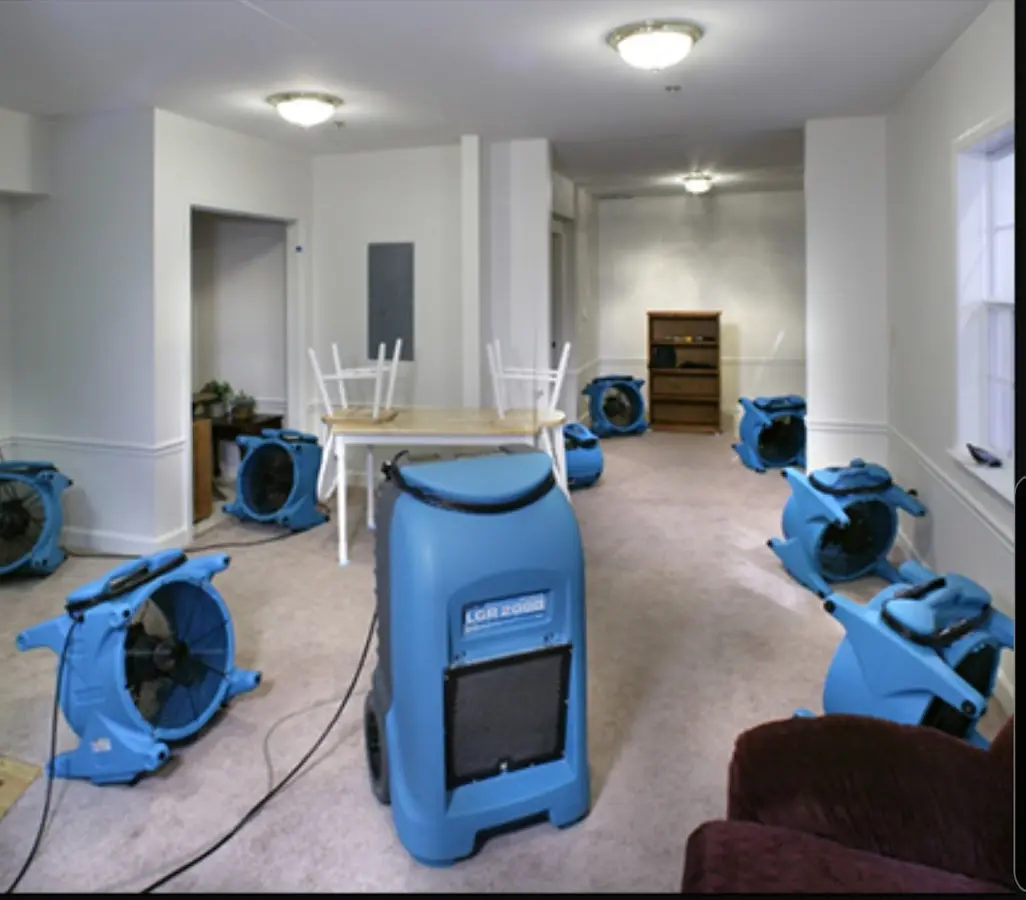 Air movers and dehumidifier setup for Water Extraction & Removal in The Pinery